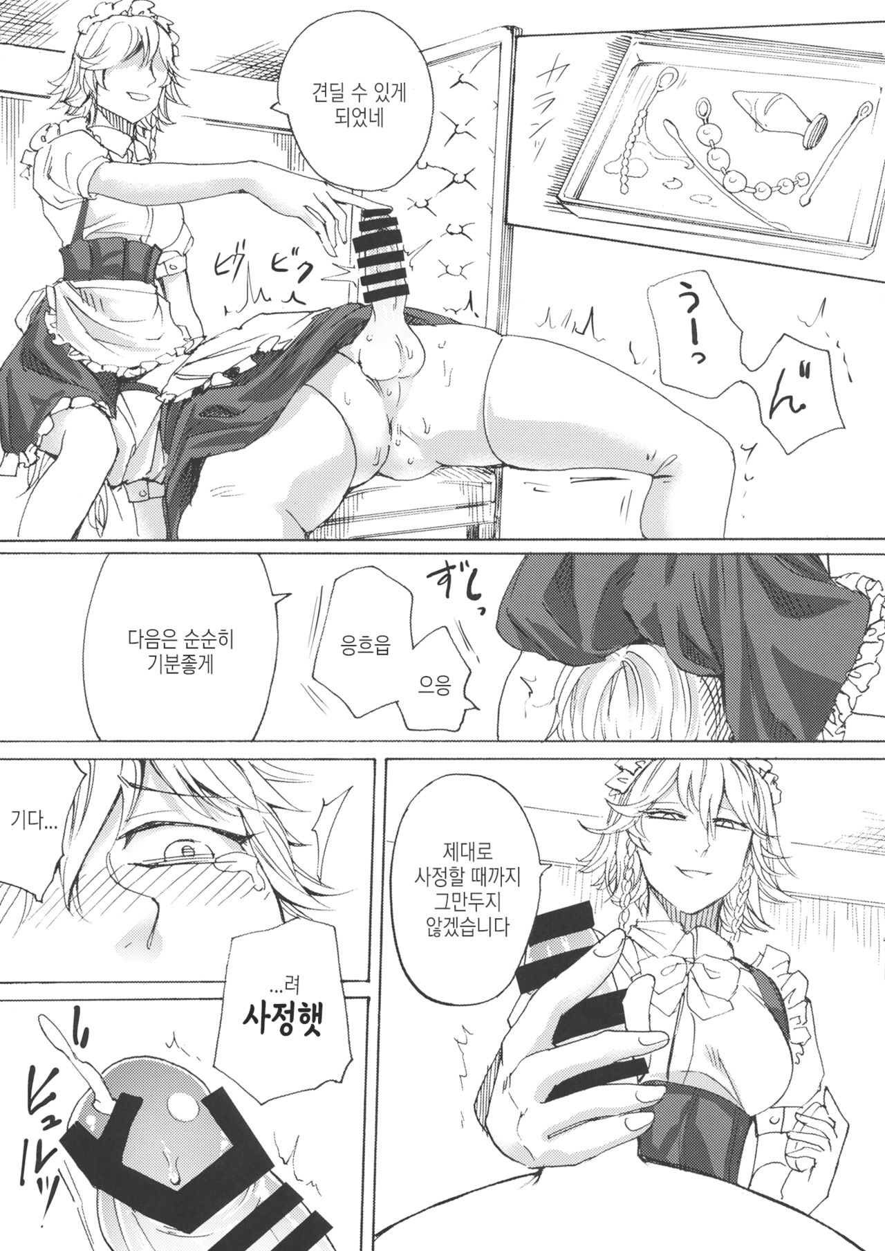 Boku wa Izayoi Sakuya ni Naritai | 나는 이자요이 사쿠야가 되고 싶다 page 7 full