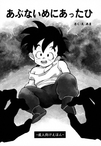 [Rururairai (AMA)] Abunai Me ni Atta Hi (Dragon Ball Z) cover
