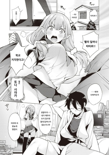 [Kenji] YOUSEI HAREM DAIBAKUHATSU Ch. 1 (COMIC AUN 2019-02) [Korean] [Digital] cover