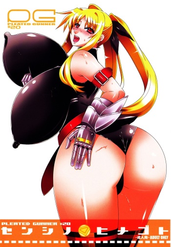 (C77) [HGH (HG Chagawa)] Pleated Gunner #20 Senshi no Himegoto | Pleated Gunner #20 A Warrior's Secret (Mahou Shoujo Lyrical Nanoha) [English] {Doujins.com} cover