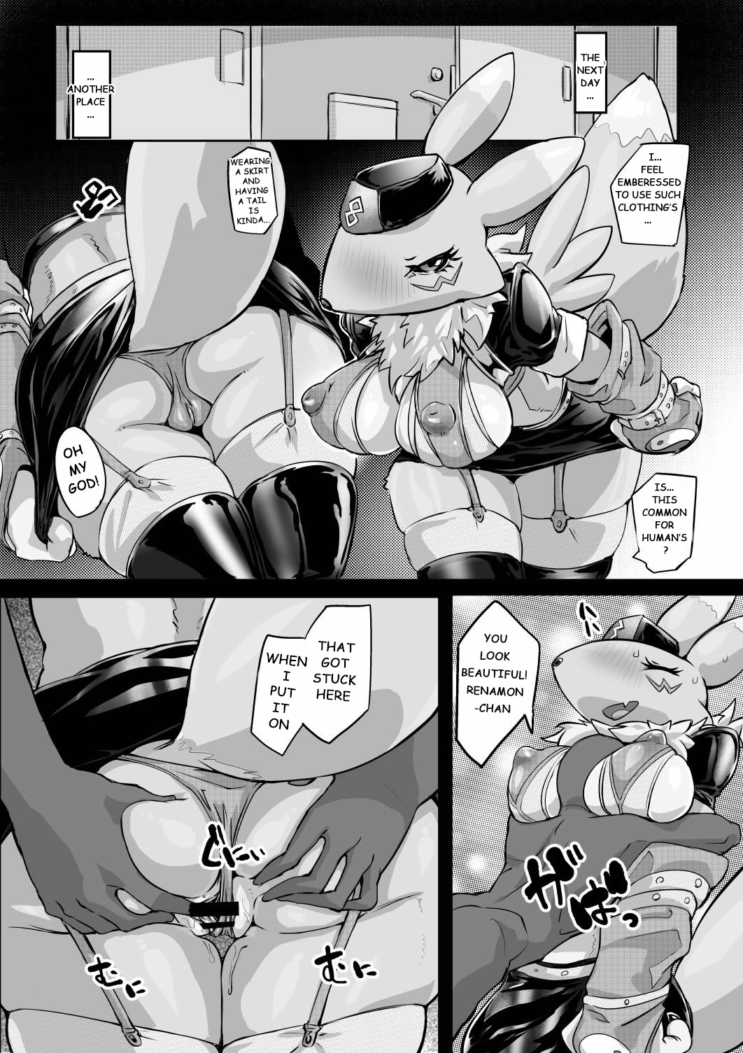 Minna no Renamon 2 | Everyone's Renamon 2 page 12 full