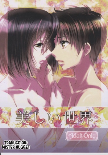 (FALL OF WALL2) [Armeria (Umichika)] Utsukushii Sekai (Shingeki no Kyojin) [Spanish] [Mr. Nugget] cover