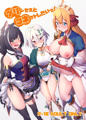 (C96) [Ikihaji Hummingbird (Amano Don)] Princess to Connect Shitai! (Princess Connect! Re:Dive) [English] [SDTLs] cover