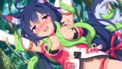 Sakura Fox Adventure