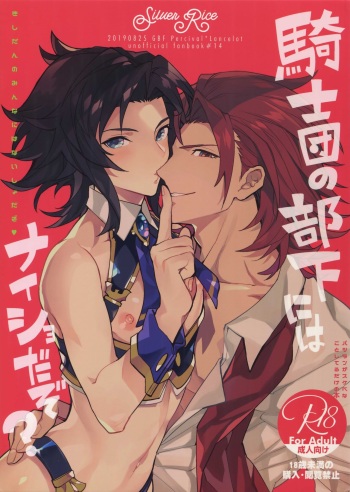 (Zenkuu no Hasha 10) [SilverRice (Sumeshi)] Kishi-dan no Buka ni wa Naishoda zo? (Granblue Fantasy) cover