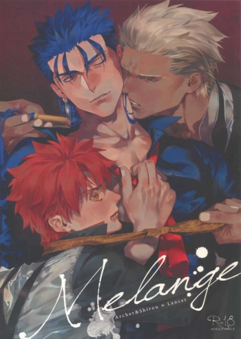 (Dai 23-ji ROOT4to5) [RED (koi)] Melange (Fate/stay night) cover
