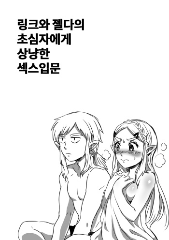 [Wasabi] Link to Zelda no Shoshinsha ni Yasashii Sex Nyuumon | 링크와 젤다의 초심자에게 상냥한 섹스입문 (The Legend of Zelda: Breath of the Wild) [Korean] cover