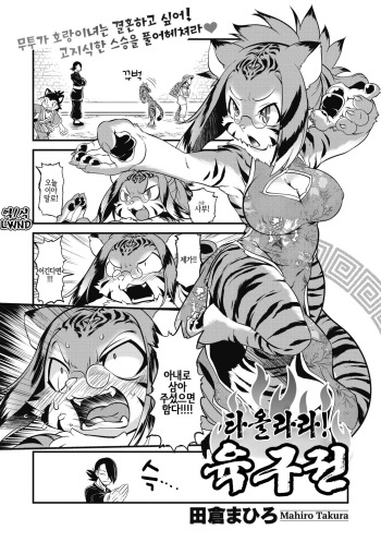 [Takura Mahiro] Moeyo Nikukyuuken | 타올라라! 육구권 (COMIC GAIRA Vol. 03) [Korean] [LWND] cover