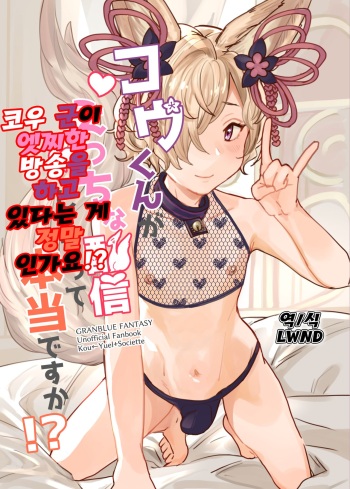 [Hakuto-can (Momose Sumomo)] Kou-kun ga Ecchi na Haishin Shiteru tte Hontou desu ka!? | 코우 군이 엣찌한 방송을 하고 있다는 게 정말 인가요!? (Granblue Fantasy) [Korean] [LWND] cover