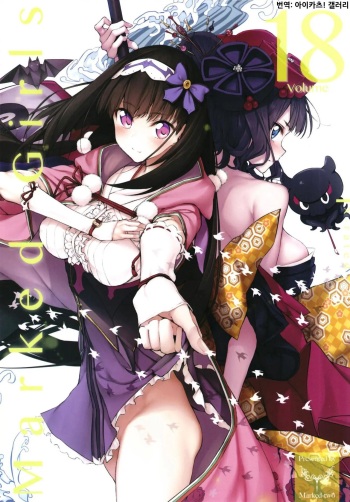 [Marked-two (Suga Hideo)] Marked Girls vol. 18 (Fate/Grand Order) [Korean] [아이카츠! 갤러리] [Digital] cover