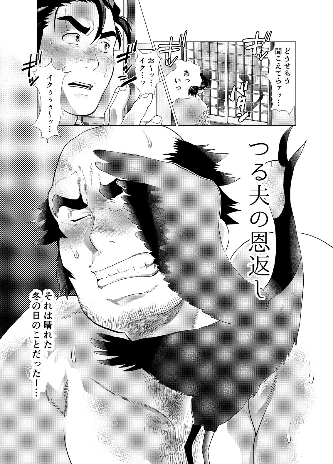 Tsuru Otto no Ongaeshi page 3 full