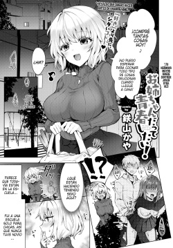 Onee-chan datte Seishun Shitai! | ¡Mi Hermana Mayor quiere sentirse joven otra vez!