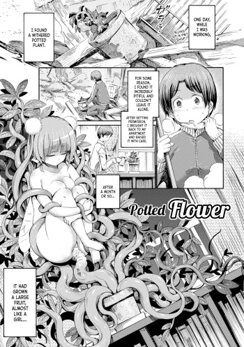 [Horitomo] Hachi no Ue no Flower | Potted Flower (Kentauros wa Hitori Ja Dekinai) [English] [Team Koinaka] [Digital] cover