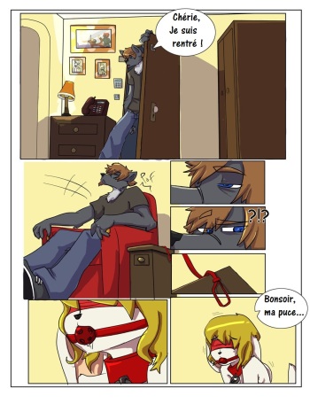 Obedience Furry cover