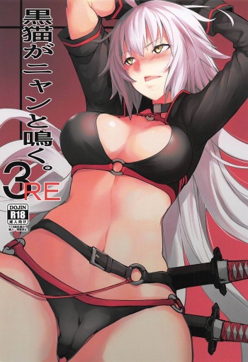 (C96) [IRON GRIMOIRE (SAKULA)] Kuroneko ga Nyan to Naku. 3RE (Fate/Grand Order) cover