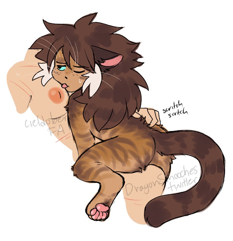 Catra Collection page 11 full