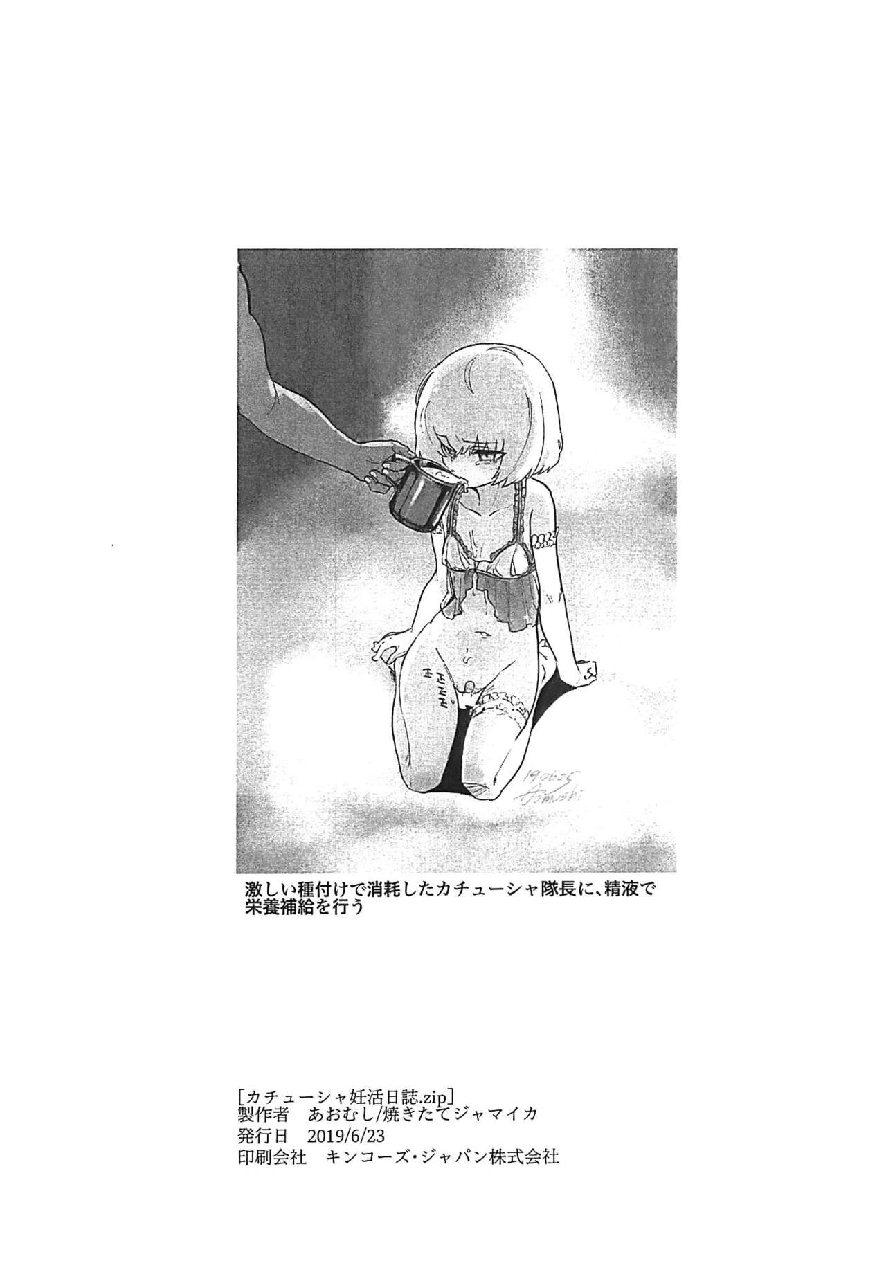 Katyusha Ninkatsu Nisshi.zip page 11 full