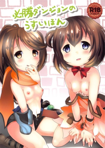 (C96) [STAR BERRY (Yamaneko Suzume)] Hisshou Dungeon no Usui Hon (Hisshou Dungeon Unei Houhou) cover