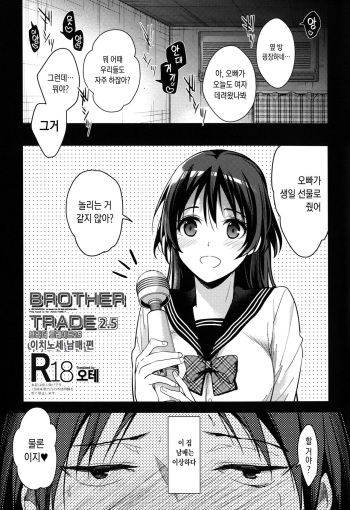 (SC2019 Spring) [Renainou (Mizuyuki)] Brother Trade 2.5 [Korean] [오테] cover
