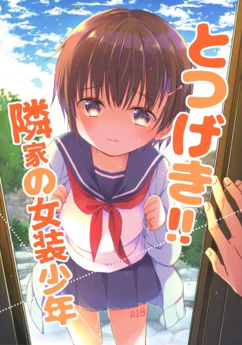 (COMITIA129) [CoconutBless (Natsuki Coco)] Totsugeki! Rinka no Josou Shounen cover