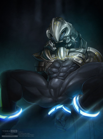 [Todex] Halo Arbiter cover