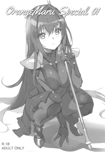 (COMIC1☆11) [OrangeMaru (YD)] OrangeMaru Special 01 (Fate/Grand Order) cover