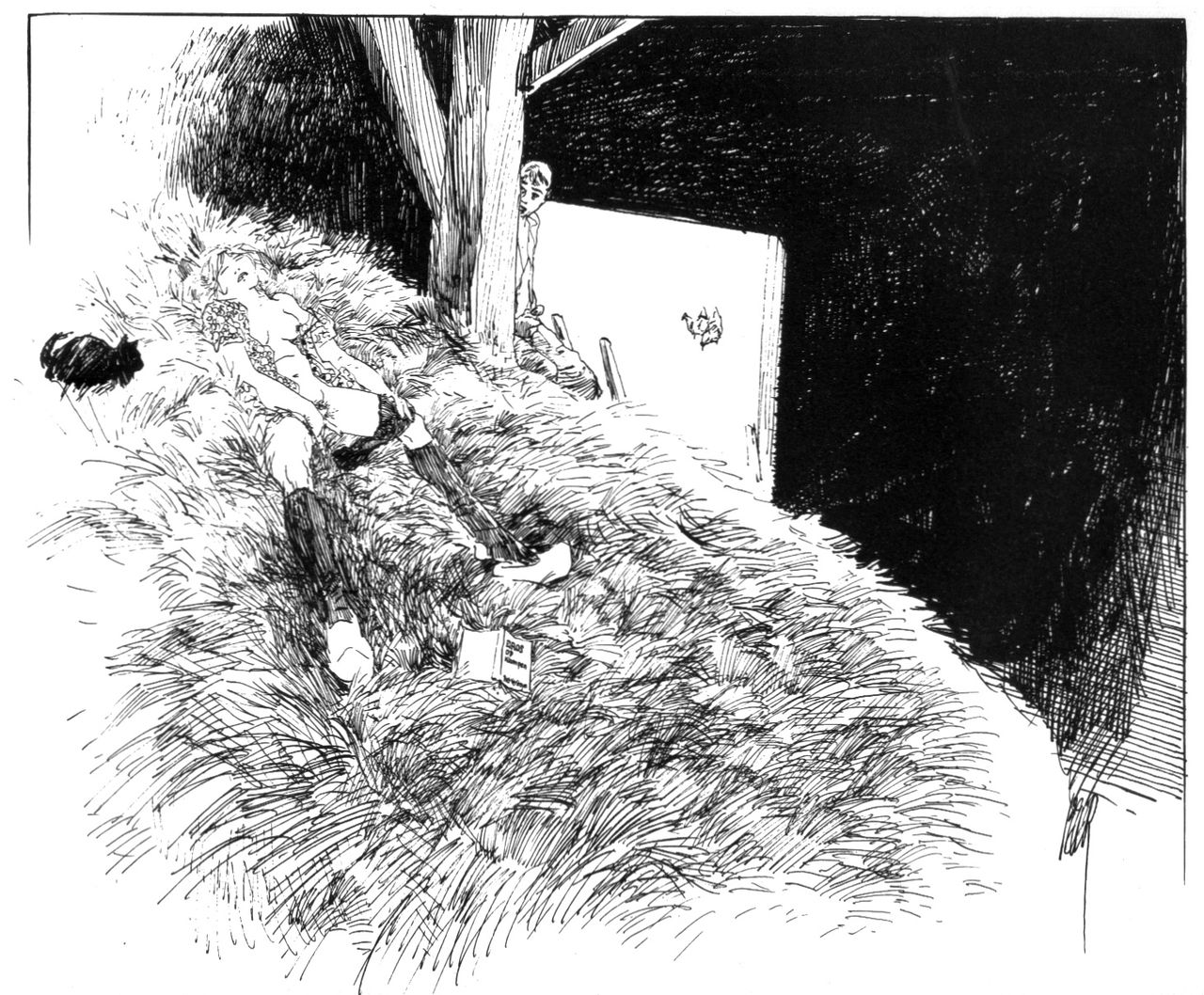 Peter van Straaten - Aanstoot page 12 full