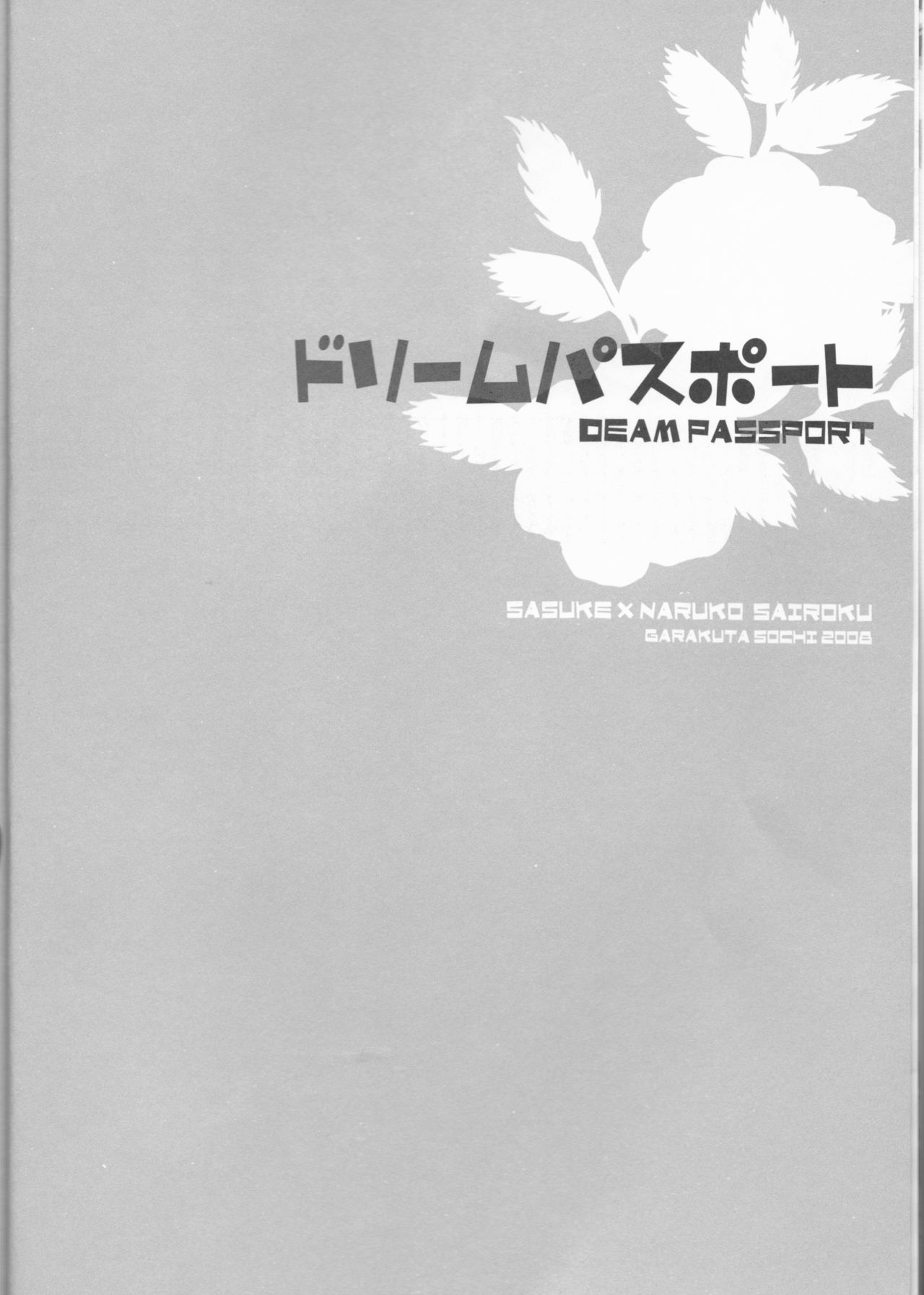 Dream Passport page 5 full