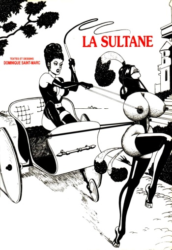 [Dominique St-Marc] La Sultane [French] cover