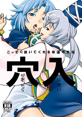 [MIDNIGHT aura-KA (Kagehito)] Ana ga Attara Hairitai (Touhou Project) [Digital] cover