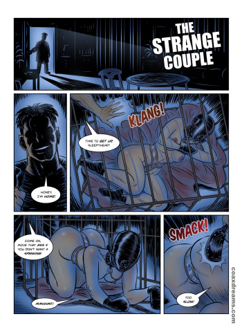 The Strange Couple cover