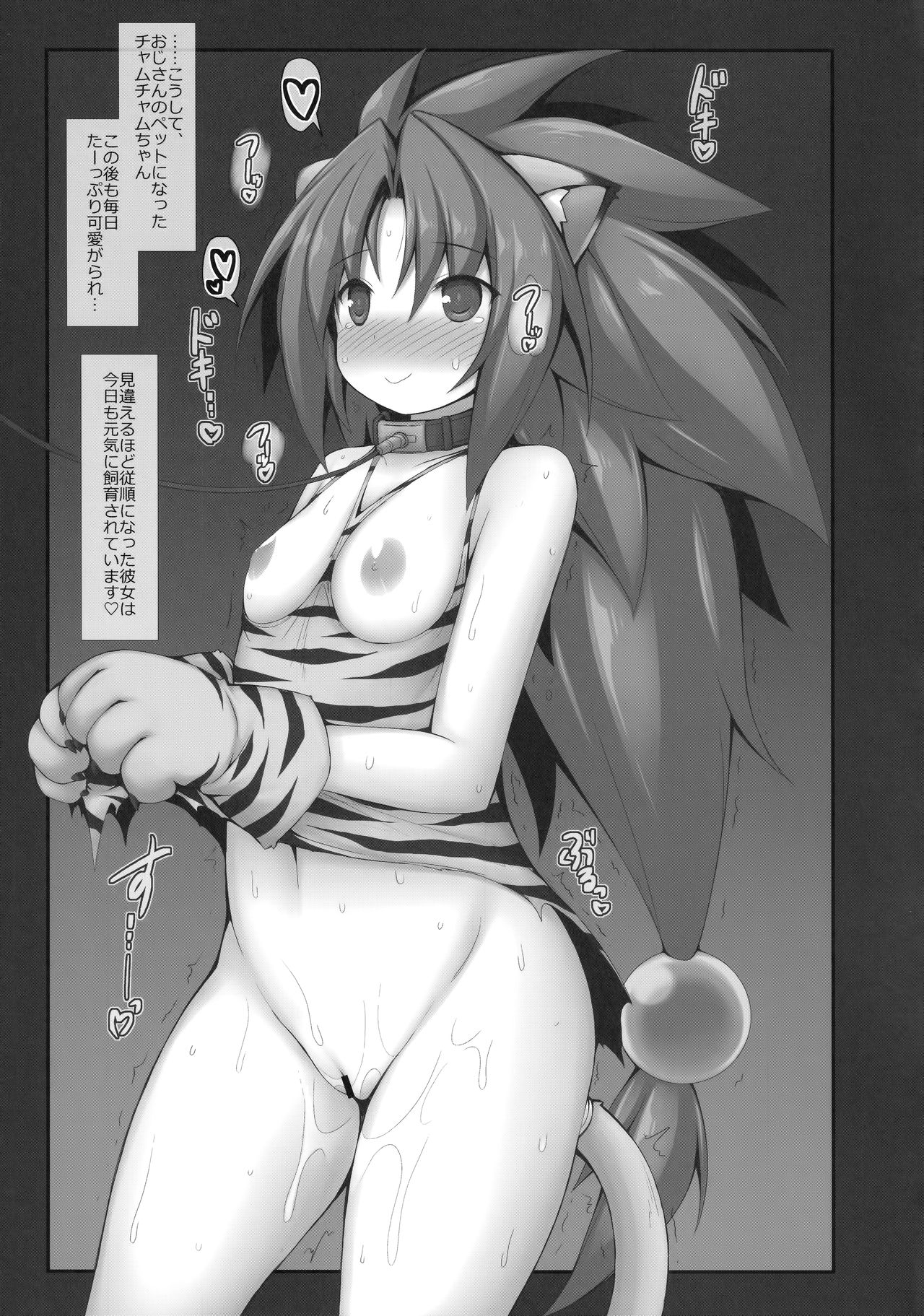 Zettai, Tsukamaranaizo!! page 12 full