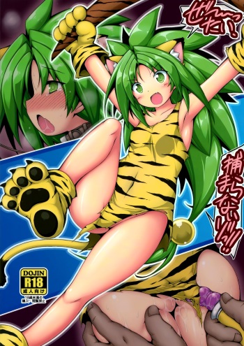 (C96) [Denji Yuudou (Murata Denji)] Zettai, Tsukamaranaizo!! (Samurai Spirits) cover