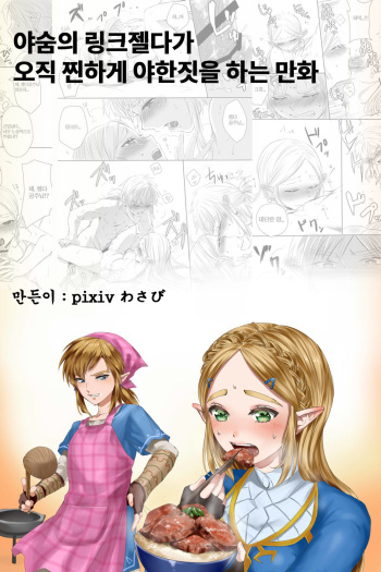 [Wasabi] BreaWi no LinZel ga Hitasura Ichaicha Shite Sukebe na Koto Suru Manga | 야숨의 링크젤다가 오직 찐하게 야한 짓을 하는 만화 (The Legend of Zelda) [Korean] cover