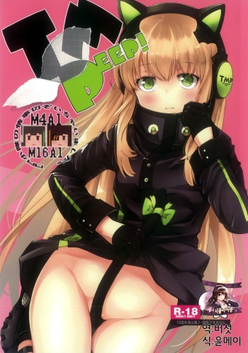 (C96) [MMU2000 (Mishima Hiroji)] TMPEEP! AR Shoutai no Jouji Nozoichaimashita Hen (Girls' Frontline) [Korean] [시뮬라시옹] cover