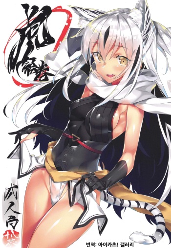 (C96) [Koito Sousakusho (Hinata Mutsuki)] Tora Emaki | 호랑이 두루마리 (Fate/Grand Order) [Korean] [아이카츠! 갤러리] cover